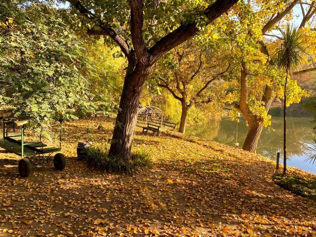 Picardie Guest Farm Paarl Εξωτερικό φωτογραφία