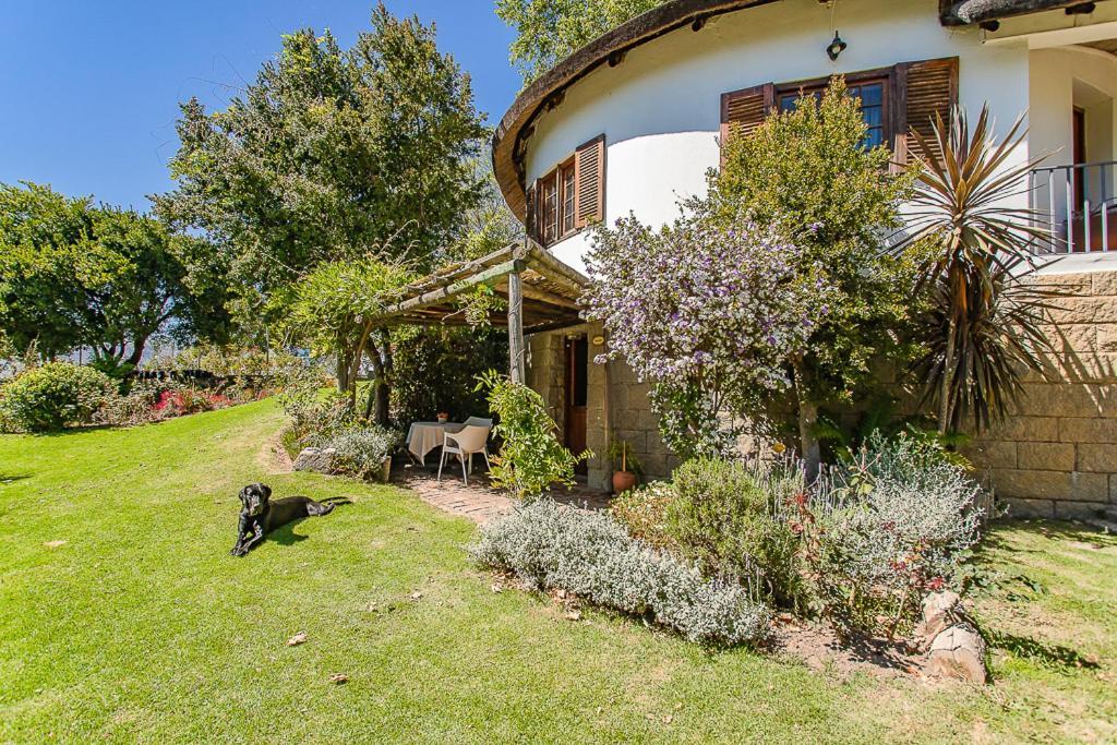 Picardie Guest Farm Paarl Εξωτερικό φωτογραφία